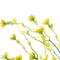 Yellow swatch