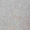 Silver swatch