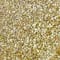 Gold swatch
