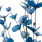 Blue swatch
