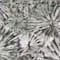 Grey swatch
