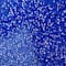 Blue swatch