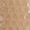 Caramel swatch