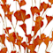 Orange swatch