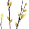 Yellow swatch