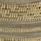 Gold swatch