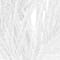 White swatch