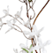 White swatch