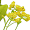 Yellow swatch