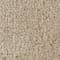 Tan swatch