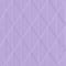 Purple swatch
