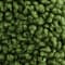 Green swatch
