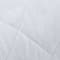 White swatch