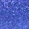 Blue swatch