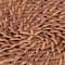 Brown swatch