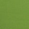Lime swatch