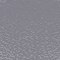 Silver swatch