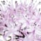 Light Purple swatch