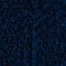 Blue swatch