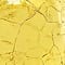 Light Yellow swatch