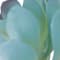 Green swatch