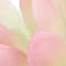 Light Pink swatch