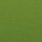Lime swatch