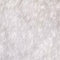 Ivory swatch