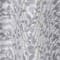 Grey swatch