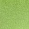Lime swatch