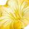 Yellow swatch