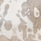 Silver swatch