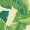 Green swatch