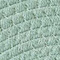 Eucalyptus swatch