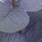 Purple swatch