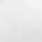 White swatch