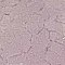 Purple swatch