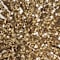 Gold swatch