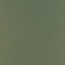 Green swatch