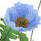 Blue swatch