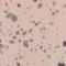 Pink swatch