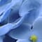 Blue swatch