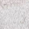 Ivory swatch