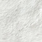 Ivory swatch