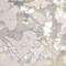 Silver swatch