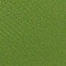 Lime swatch