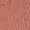 Blush swatch