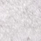Ivory swatch
