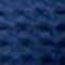 Navy swatch