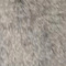 Grey swatch
